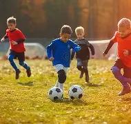 平博体育,资讯,平博体育官网,平博体育,平博体育官网,平博体育官方,平博体育下载