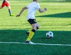 平博体育,资讯,平博体育官网,平博体育,平博体育官网,平博体育官方,平博体育下载