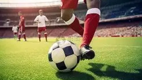 平博体育 资讯 135343 9ir