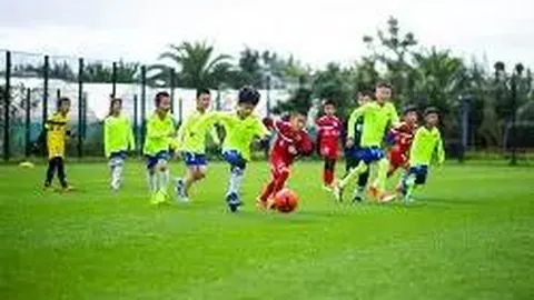 穿梭历史之旅：新篇章开启，生存模式易上手，生命加倍挑战新高度