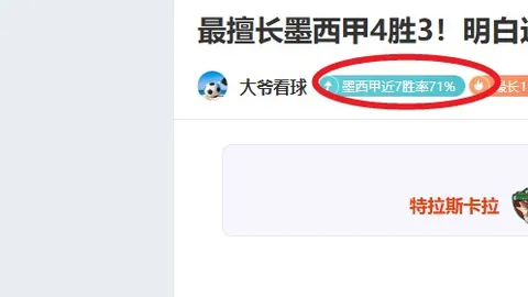 “NIP：回顾败北赛事，尽是冠军亚军巅峰对决！”