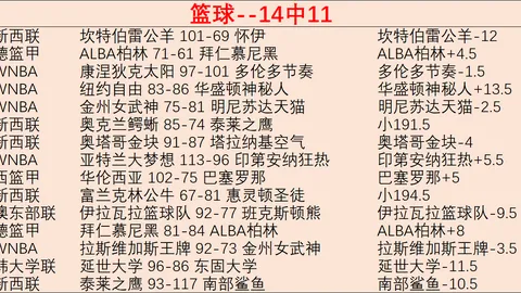 焦点战：火花对决狂热，让分策略深度解析